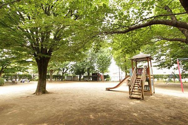 【周辺】【公園】松の木公園まで40ｍ