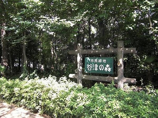 【周辺】公園谷津の森公園まで630ｍ