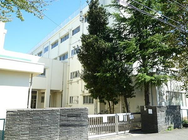 【周辺】横浜市立常盤台小学校