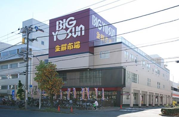 【周辺】ビッグヨーサン綱島樽町店