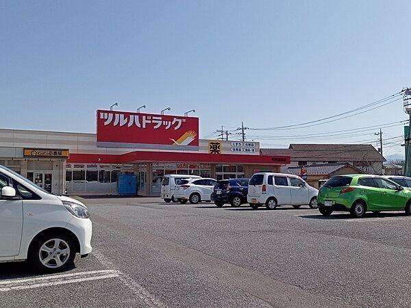 【周辺】ツルハドラッグ甲府国母店814m