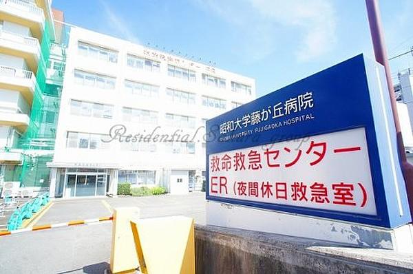 【周辺】総合病院昭和大学藤が丘病院まで324ｍ