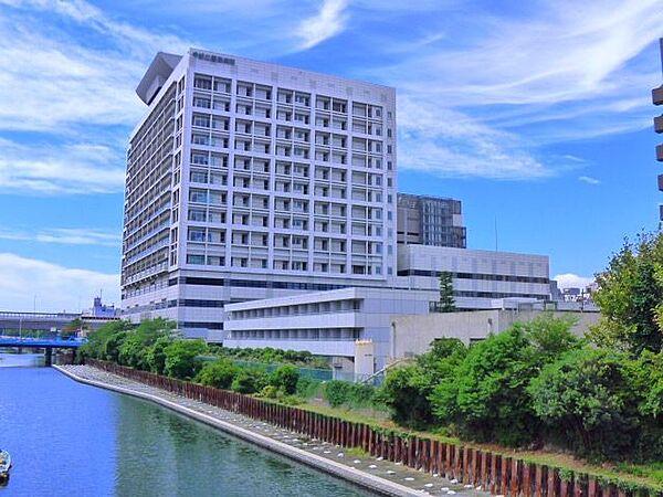 【周辺】東京都立墨東病院 徒歩6分。 440m