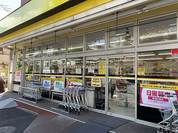 【周辺】【スーパー】肉のハナマサ 小石川店まで233ｍ