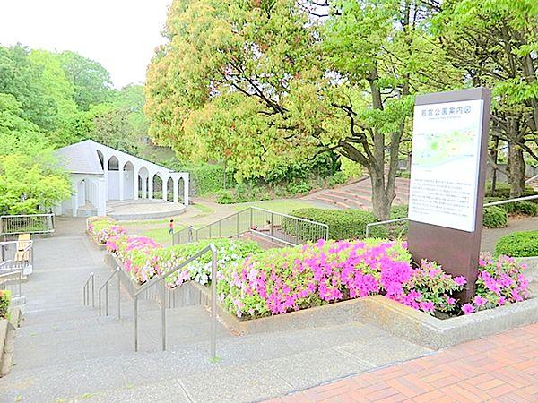 【周辺】若宮公園