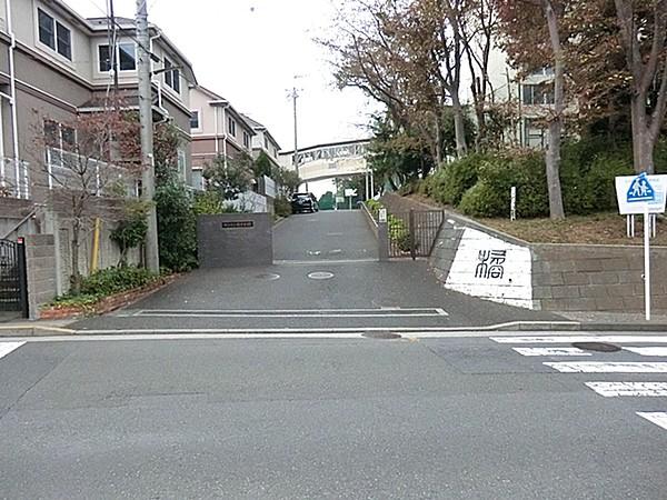 【周辺】横浜市立橘中学校　約1000m