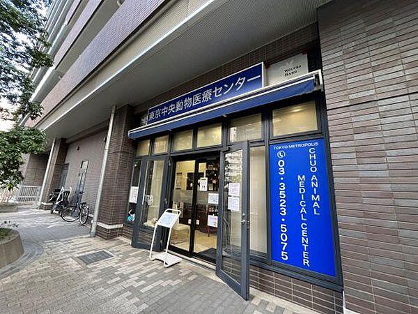 【周辺】【動物病院】東京中央動物医療センターまで2491ｍ