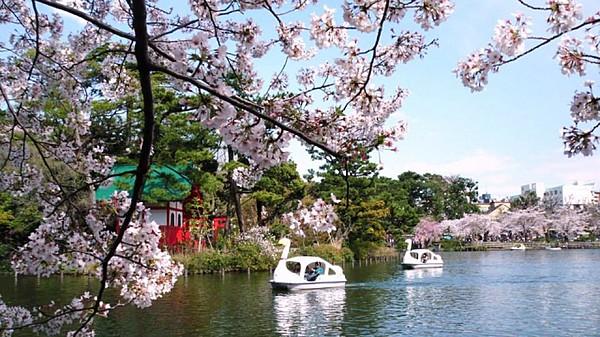 【周辺】洗足池公園まで68m 桜の名所で有名な洗足池公園。四季折々の景色を愉しむ。
