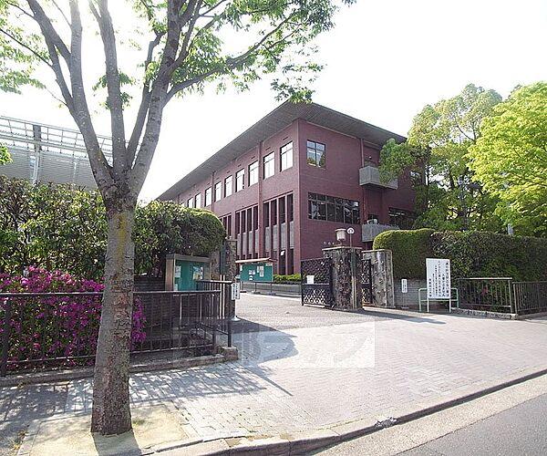 【周辺】京都府立大学まで2010m