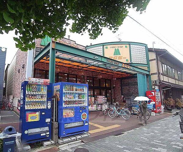 【周辺】エムジー 上堀川店まで480m 新鮮な食材を揃えたいならここ。