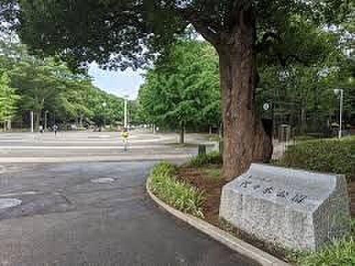 【周辺】東京都立代々木公園 徒歩33分。 2580m