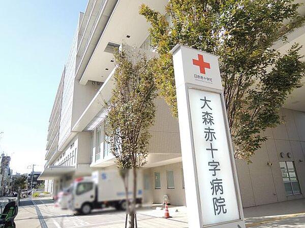 【周辺】日本赤十字社東京都支部大森赤十字病院 徒歩16分。 1250m