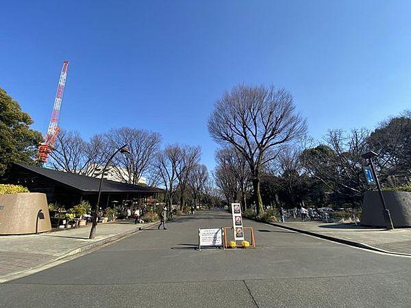 【周辺】徒歩6分。駒沢オリンピック公園 450m