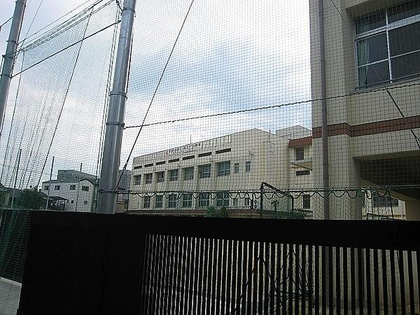 【周辺】野田小学校 106m