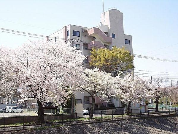 【外観】★春になると桜並木がとても綺麗です★