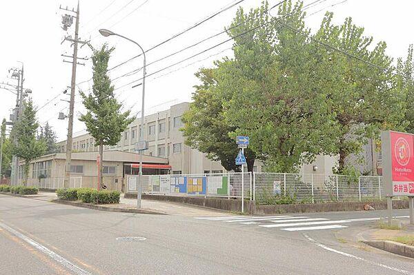 【周辺】名古屋市立南陽中学校 184m