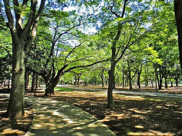 【周辺】【公園】東京都立代々木公園まで2824ｍ
