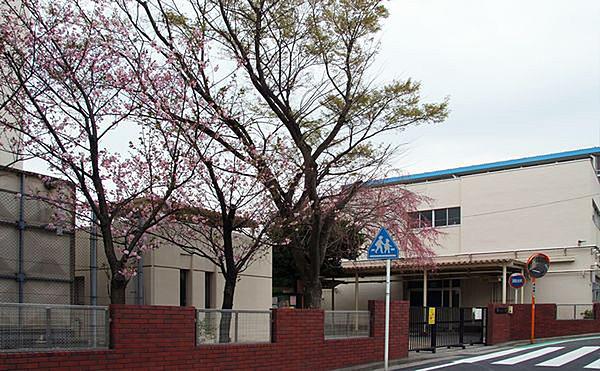 【周辺】【小学校】横浜市立藤の木小学校まで501ｍ