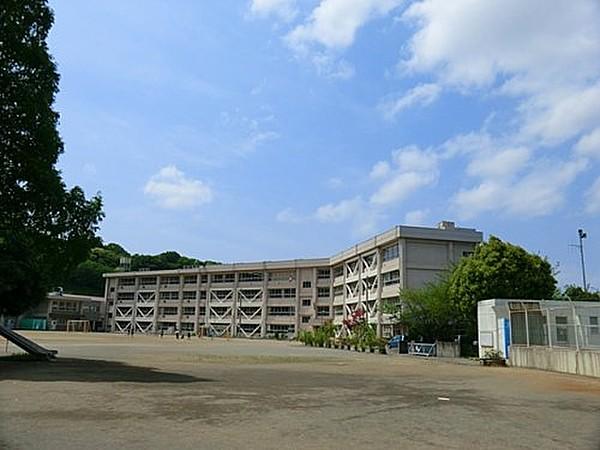 【周辺】小学校横須賀市立鷹取小学校まで827ｍ