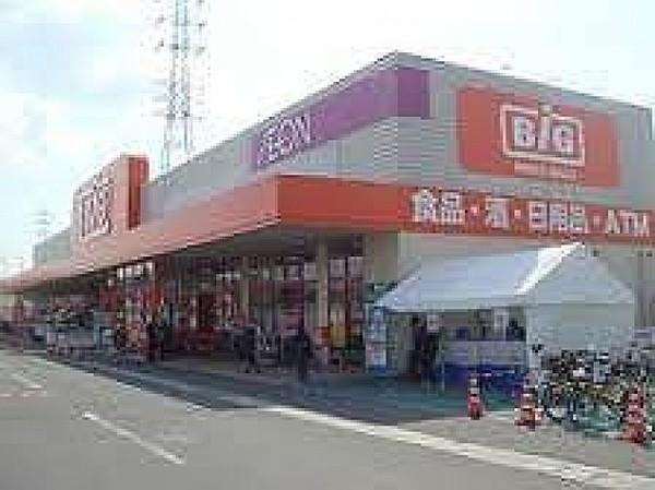 【周辺】ザ・ビッグ奥田南店(ショッピングセンター)まで734m