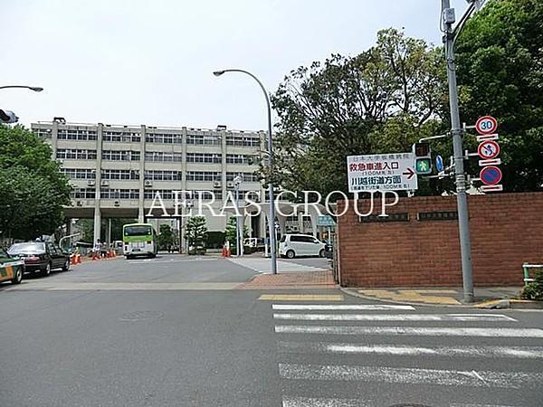 【周辺】日本大学医学部附属板橋病院 1235m
