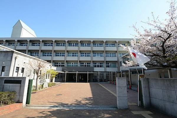【周辺】中学校神戸市立鷹匠中学校まで117ｍ