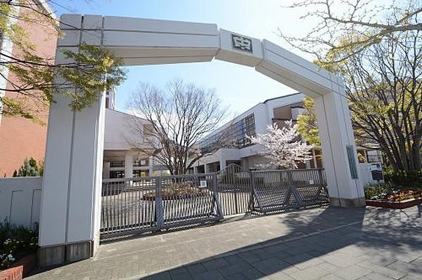 【周辺】【中学校】神戸市向洋中学校まで768ｍ
