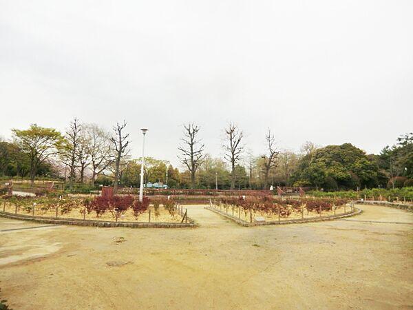 【周辺】【公園】大井戸公園まで686ｍ