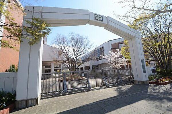 【周辺】【中学校】神戸市立向洋中学校まで1339ｍ
