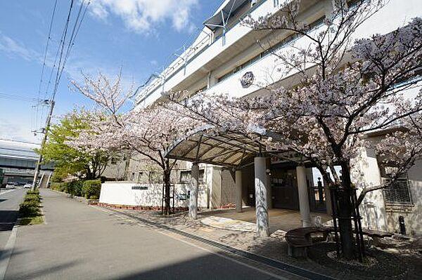 【周辺】【中学校】神戸市立魚崎中学校まで179ｍ