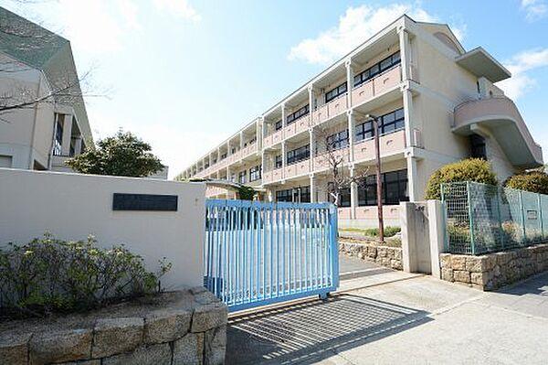 【周辺】【小学校】神戸市立六甲アイランド小学校まで445ｍ