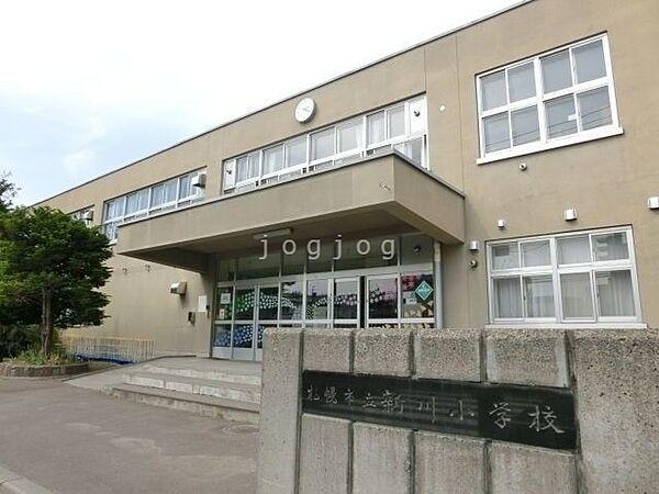 【周辺】札幌市立新川小学校 328m