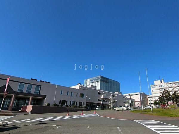 【周辺】私立北海道医療大学 2647m