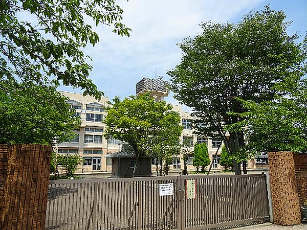 【周辺】八王子市立松木中学校（583m）