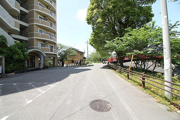 【外観】＊前面道路＊車通りが限られた道路です。駐車場内へスムーズに出入りしていただけます。伊賀八幡宮への参道がすぐそこにあるため、お散歩コースにはとてもいい道路です。