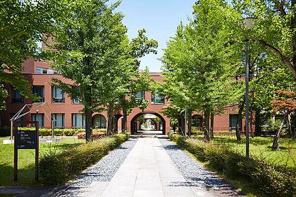 【周辺】【大学】兵庫県立大学姫路新在家キャンパスまで296ｍ