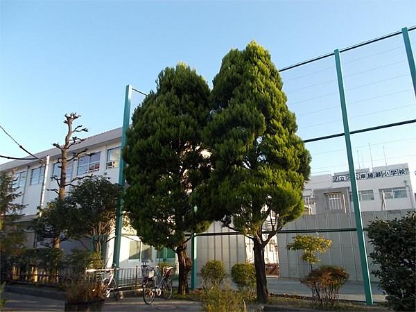 【周辺】足立区立東綾瀬小学校（464m）