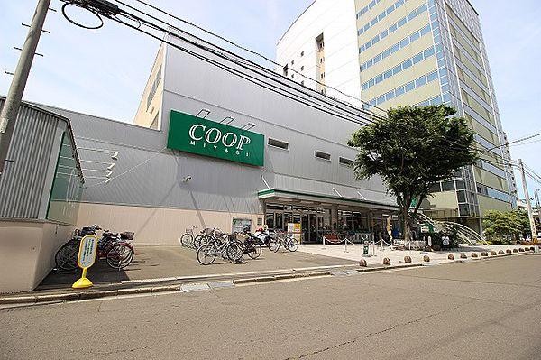【周辺】COOP　MIYAGI柏木店400ｍ