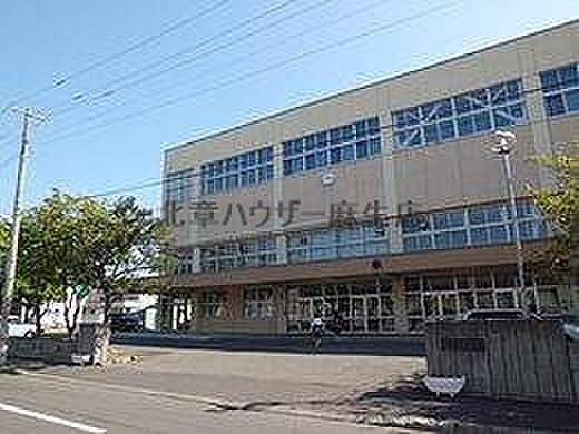 【周辺】札幌市立新川中学校 592m