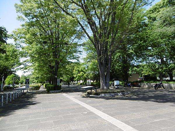 【周辺】■小金井公園　徒歩4分