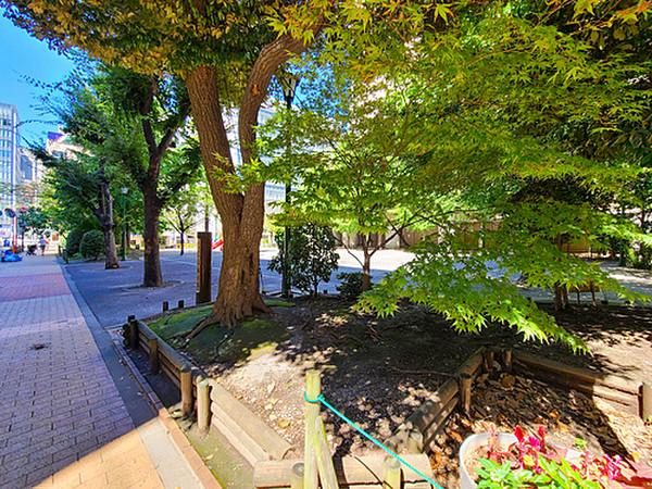 【周辺】京橋公園約350Ｍ。都心のなかで四季の移ろいを感じさせてくれる公園が所々に点在します。
