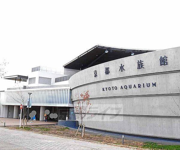 【周辺】京都水族館まで673m 梅小路公園内にできた京都の新名所（2013年3月オープン）。とくにイルカショーが人気でたくさんの人でにぎわっています。