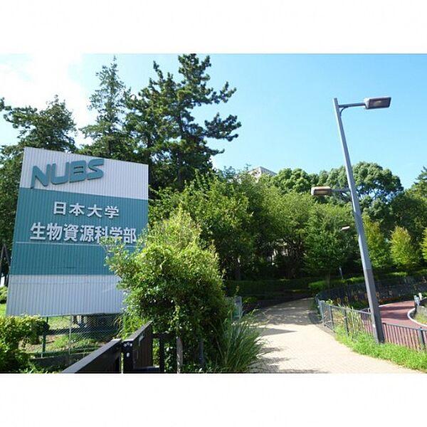 【周辺】日本大学から徒歩5分(大学・短大)まで400m