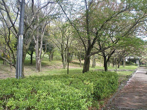 【周辺】世田谷区で1番の敷地面積を誇る「砧公園」敷地内には、美術館などもある。ランニングをする人、サイクリングをする人、ペットと散歩する人、大勢の人が利用しています。春には公園一面が桜で一杯になります。 