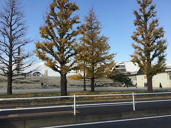 【周辺】駒沢オリンピック公園　1800ｍ