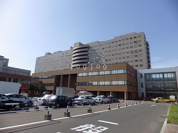 【周辺】国立大学法人北海道大学病院 524m