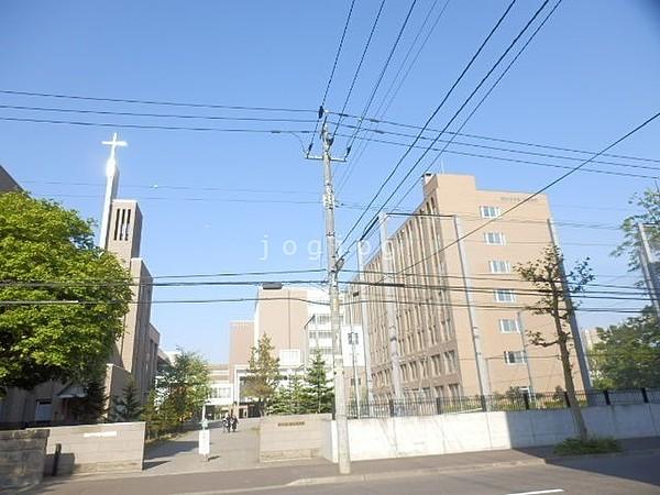 【周辺】私立藤女子大学 337m