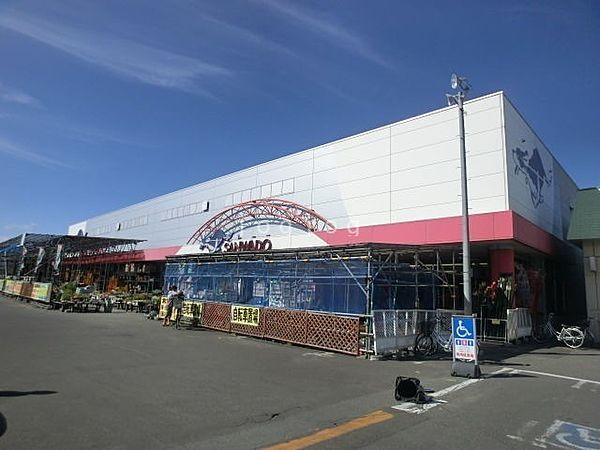 【周辺】DCMサンワ札幌新道店 787m