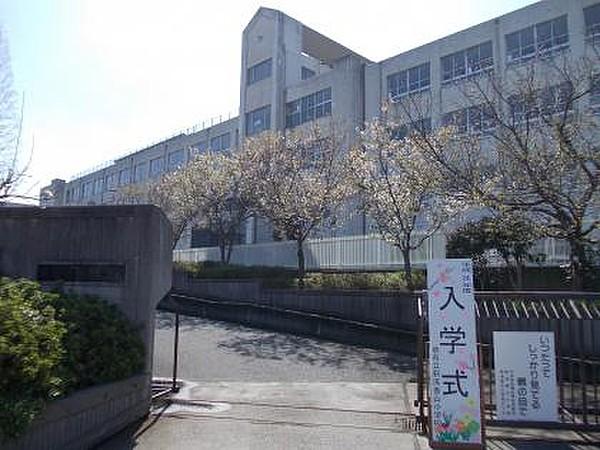 【周辺】小学校堺市立新浅香山小学校まで305ｍ