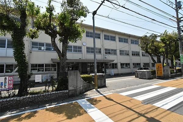 【周辺】徳島市立城西中学校（863m）